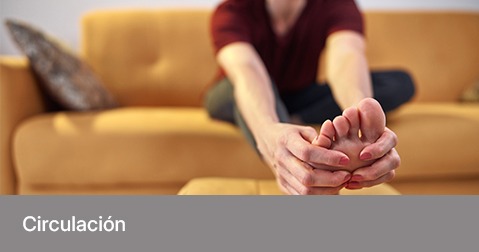 Circulación
